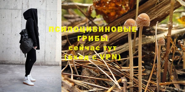 мдпв Зеленодольск