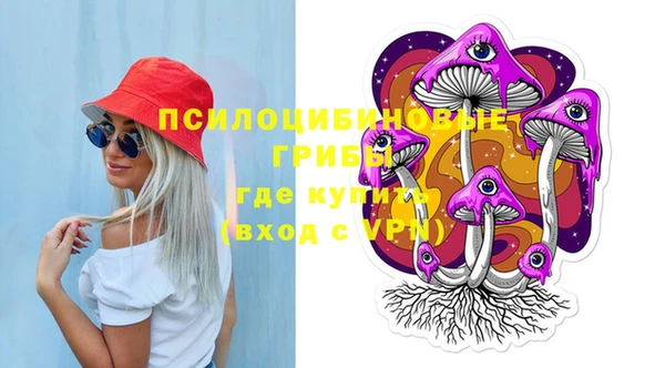 мдпв Апатиты