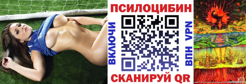 что такое   Избербаш  Галлюциногенные грибы прущие грибы 